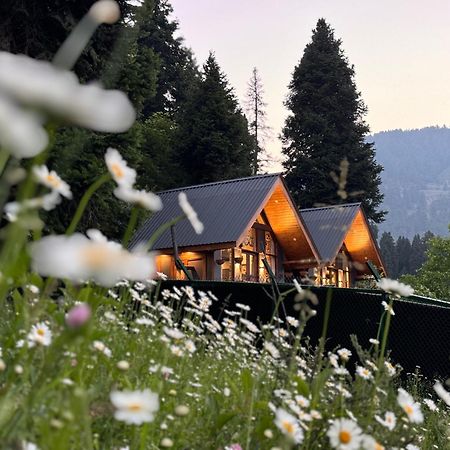 Solomons Gray Villa Tangmarg Exterior photo