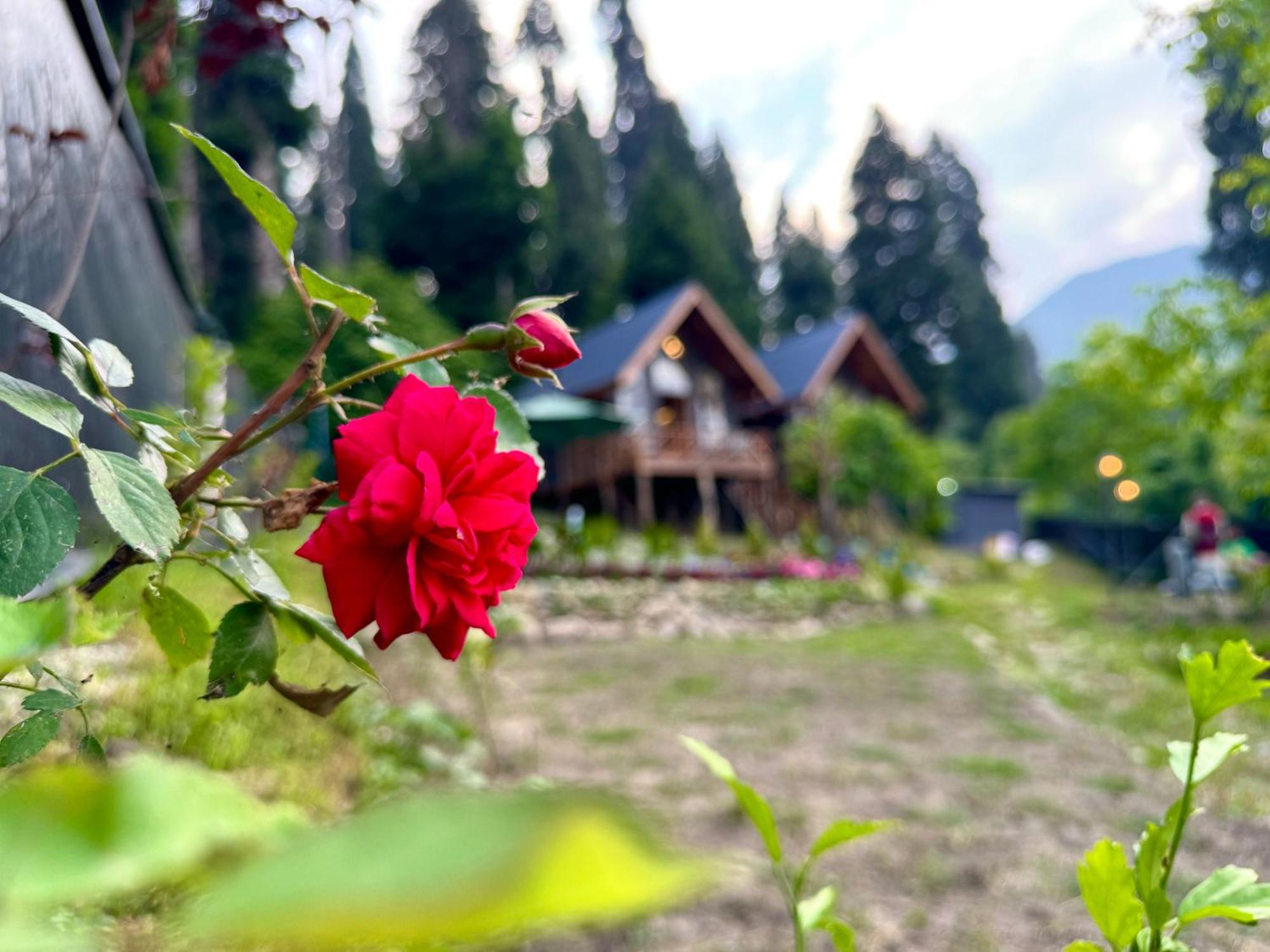 Solomons Gray Villa Tangmarg Exterior photo